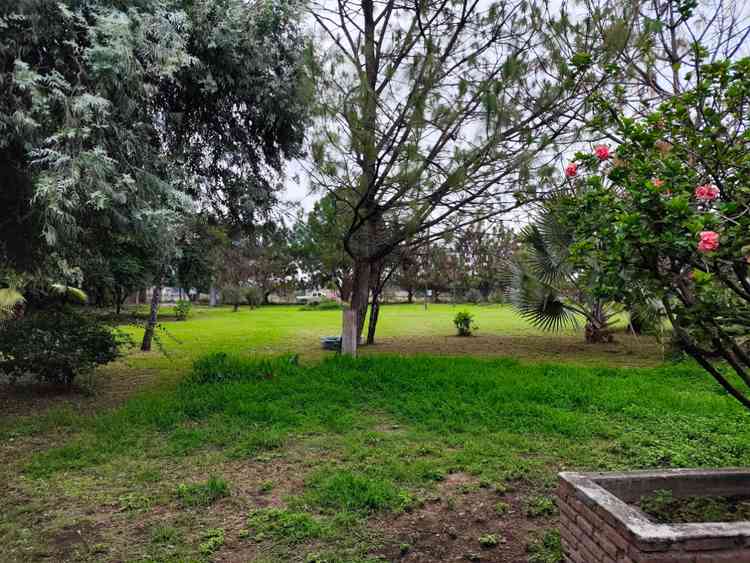 terreno en venta prolongacion gonzalez gallo toluquilla san pedro tlaquepaque jalisco psNBU6V